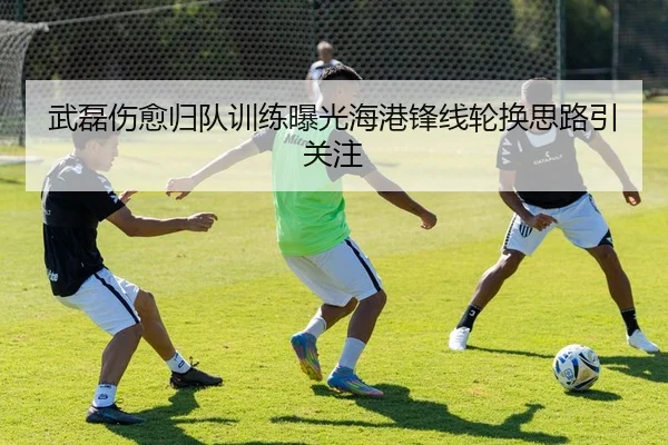 武磊伤愈归队训练曝光海港锋线轮换思路引关注